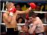 Hatton Looks Certain To Fight Again